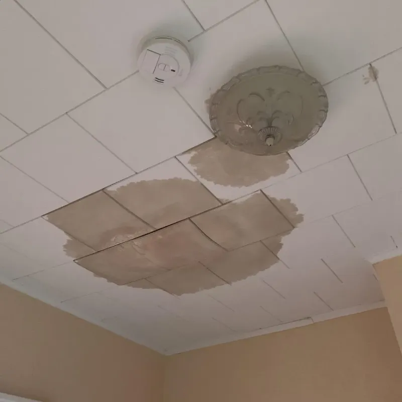 Ceiling Water Damage Repair in McAlmont, AR