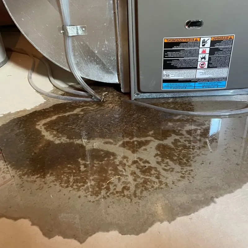 Pipe Burst and Leak Restoration in McAlmont, AR