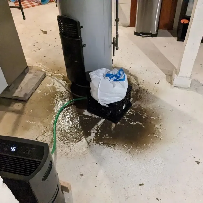 Sewage Backup Cleanup Service in McAlmont, AR